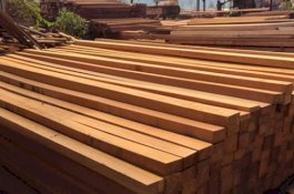 Marak, Bongkar Muat Kayu Ulin Diduga Ilegal di Barru