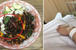 Campur Nasinya dengan Cabai Terpedis di Dunia, Pria Ini Dilarikan ke ICU