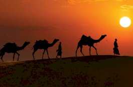 Mau Selamat Dunia Akhirat? Ikuti 4 Wasiat Rasulullah Ini