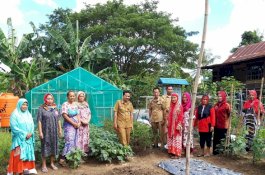 Pemkab Sidrap Ajak Warga Buat 'Pasar' di Pekarangan Rumah