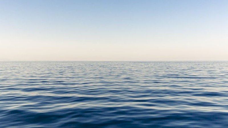 Foto: Shoot 'N Design / Unsplash