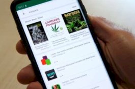Google Larang Aplikasi Fasilitasi Penjualan Ganja