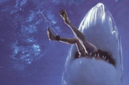 Perempuan Ini Lihat Suaminya Jadi Santapan Hiu saat Liburan