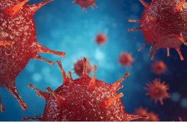 Serang Virus Flu, 43 Warga Australia Meninggal Dunia