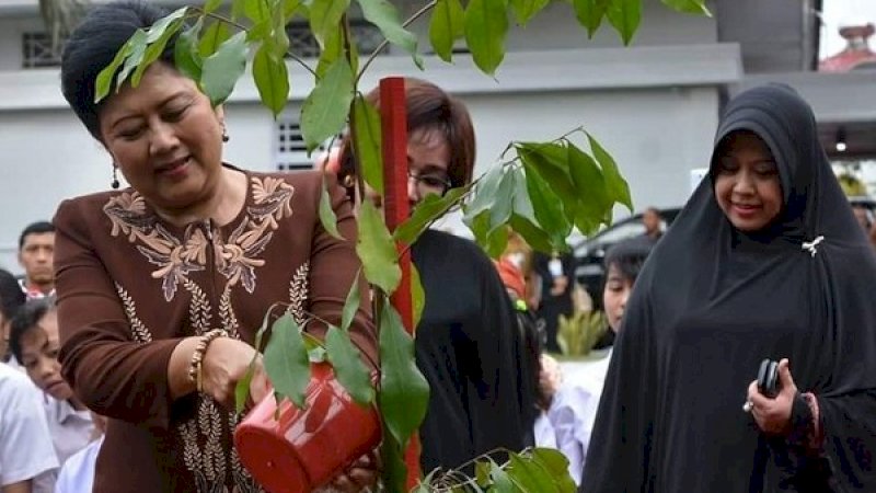 Ani Yudhoyono, menyiram pohon Bilalang di halaman Rujab Wali Kota Parepare, 2014 silam.