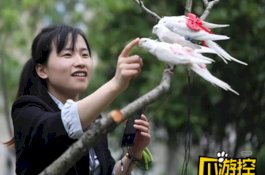 Jual Popok Burung, Wanita Ini Bisa Raup Rp61 Juta Perbulan