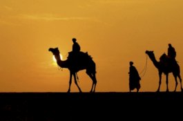 Belajar Rendah Hati dan Sopan Santun dari Ali bin Abi Thalib