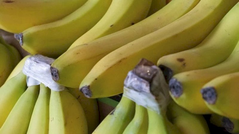 Pisang