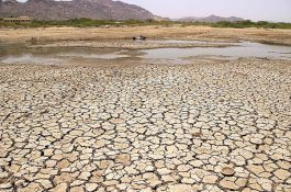 Bertengkar Gegara Air, Seorang Pria India Terbunuh