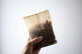 Lupakan Plastik! Pembungkus ini Terbuat dari Limbah Pertanian