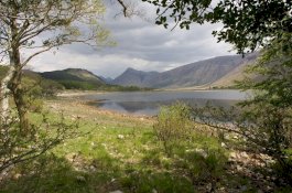 Seorang Wanita Tewas Disambar Petir Saat Hiking