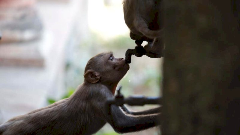 FOTO: AP