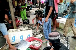Akibat Banjir, Puluhan Nelayan di Bone Merugi