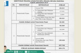 Lowongan CPNS 2019: Pemda Butuh 207.748 Orang