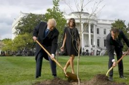 Pohon Simbol Persahabatan Trump dan Macron Telah Mati