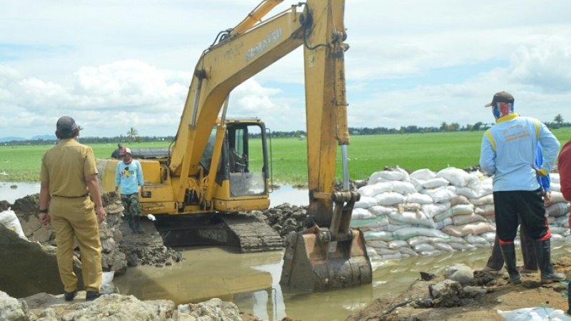 Bupati Sidrap, Dollah Mando memantau langsung gotong royong warga memperbaiki tanggul saluran irigasi yang jebol di Desa Ajubissue, Kecamatan Pitu Riawa, Senin (10/6/2019).