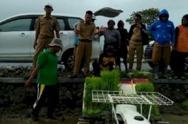 Petani di Duampanua Sidrap, Demonstrasikan Rice Transplanter
