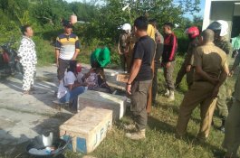 Satpol PP Jeneponto Tertibkan Penjual Ikan di Pinggir Jalan