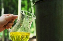 Minuman Keras ini Diproduksi dari Batang Bambu Hidup