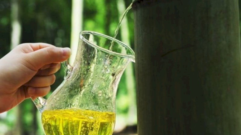 Mengambil minuman keras dari bambu