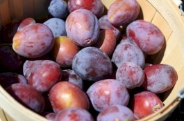 3 Buah Ini Akan Bantu Anda Singkirkan Kembung