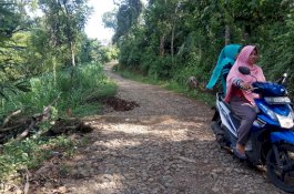 Sudah 10 Tahun Dijanji Perbaikan, Jalanan di Sinjai Ini Longsor dan Membahayakan