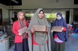 Pakai Lidah Mertua, Mahasiswi Unhas Ciptakan Papan Penyerap Polusi