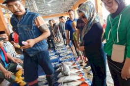 Berkunjung ke TPI Paotere, Ketua PKK Sulsel Minta Wali Kota Bina Pedagang