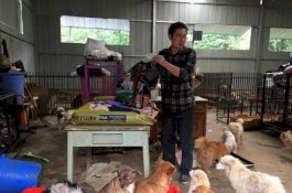 Pria ini Berhutang Rp1,2 Miliar Setelah Adopsi 260 Anjing Dalam 2 Tahun