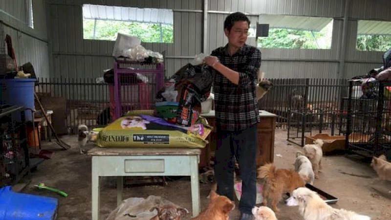 Zhang Kai dan anjing-anjingnya