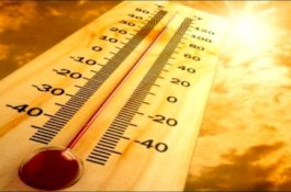 40 Orang Tewas Dalam 1 Hari Akibat Gelombang Panas di Bihar