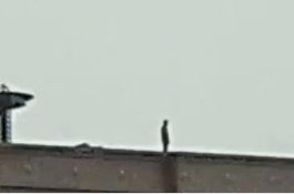 “Orang Kira Saya Akan Bunuh Diri” Pria Ini Berbagi Kesalahpahaman yang Viral