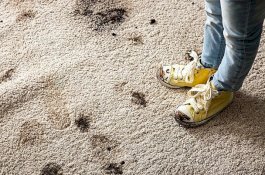 Mengenakan Sepatu Kotor Dapat Melindungi Anak-anak dari Asma