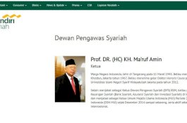 Pengakuan Mantan Menteri BUMN: Anak Perusahaan Juga BUMN