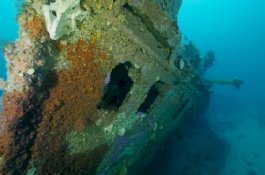 Video Bangkai Kapal yang Karam Seabad Lalu, Renggut Nyawa 14 Awak, Kapten Selamat