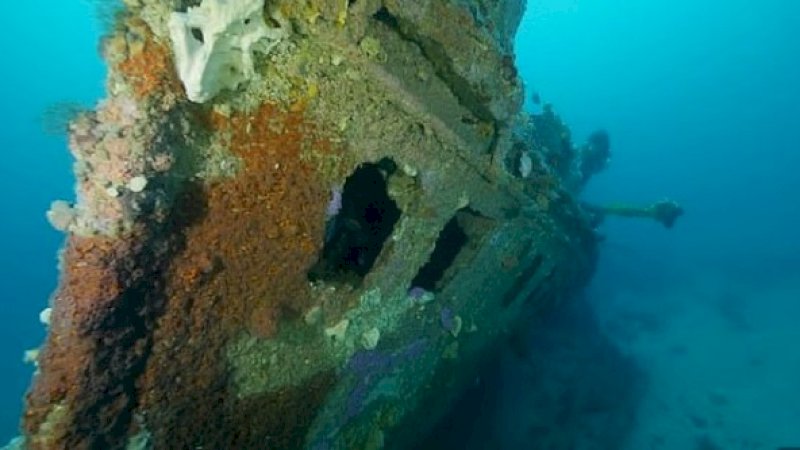 Bangkai kapal Nyora di dasar laut.