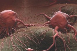 Setiap Orang Punya Sel Kanker dalam Tubuhnya, Mitos atau Fakta