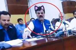 Menteri ini Viral Gegara Konferensi Pers Live di Facebook Pakai Filter Kucing