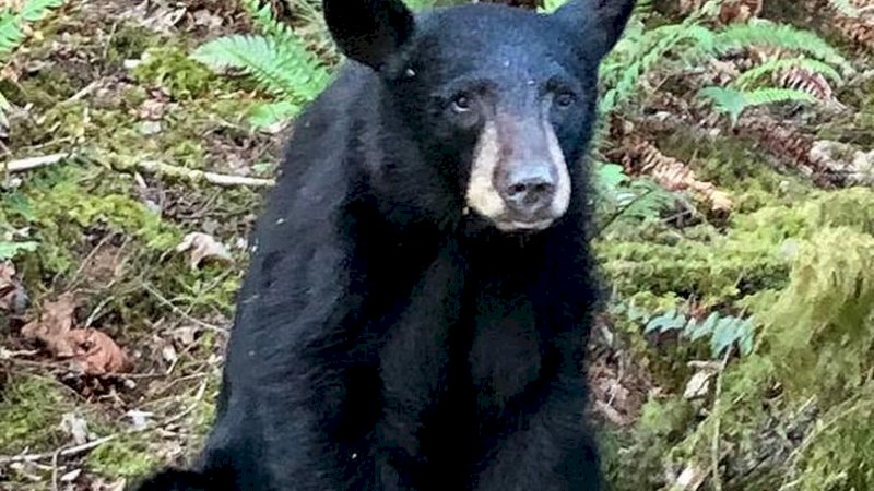 Washington County Sherriff's Office