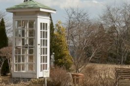 Kisah Tragis di Balik Bilik Telepon yang Tidak Terhubung ke Mana Pun