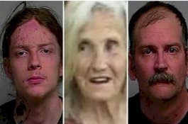 Dilarang Pelihara Kucing, Remaja Bunuh Neneknya