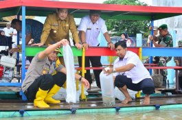 Pemkab Sidrap Sebar 150 Ribu Benih Ikan di Empat Kecamatan