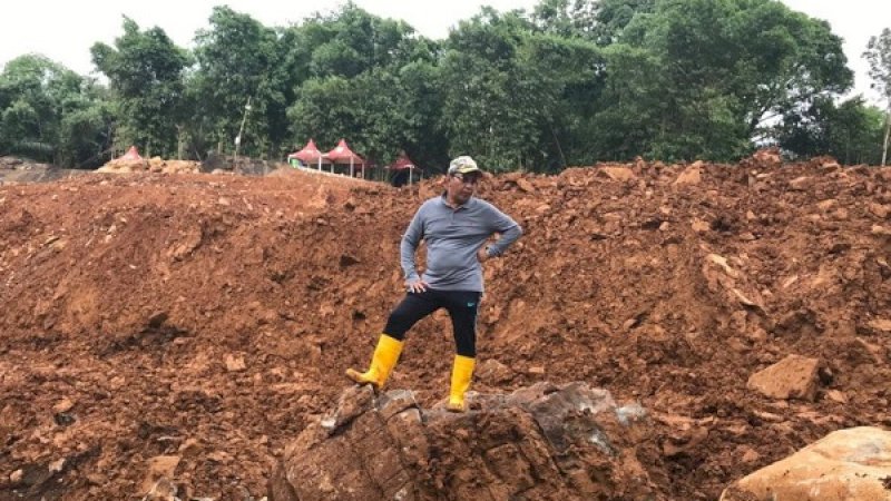 Danny Pomanto saat meninjau kebun miliknya.
