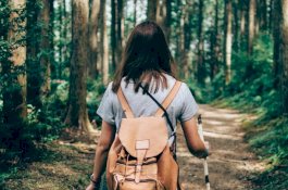 Menghabiskan Waktu Dua Jam Seminggu di Alam Baik untuk Kesehatan