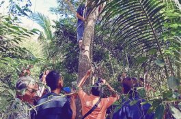 Dilarang Main HP, Pemuda Pinrang Minum Racun lalu Gantung Diri di Pohon