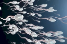 Penelitian: Tidur Setelah Jam 11 Malam Lebih Kecil Peluangnya Jadi Ayah