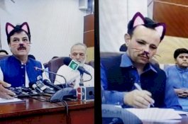Lagi Siaran Langsung saat Rapat, Pejabat Pemerintah di Pakistan Lupa Matikan Filter Kucing