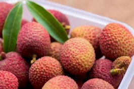 31 Anak Alami Radang Otak Setelah Makan Buah Leci Beracun