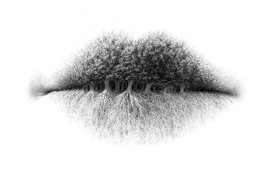 Apa yang Anda Lihat di Foto Ini? Jawabannya Bisa Ungkap Kepribadian Anda