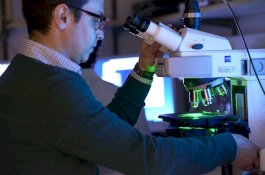 Obat Kanker dari ASI Masuk Tahap Uji Klinis